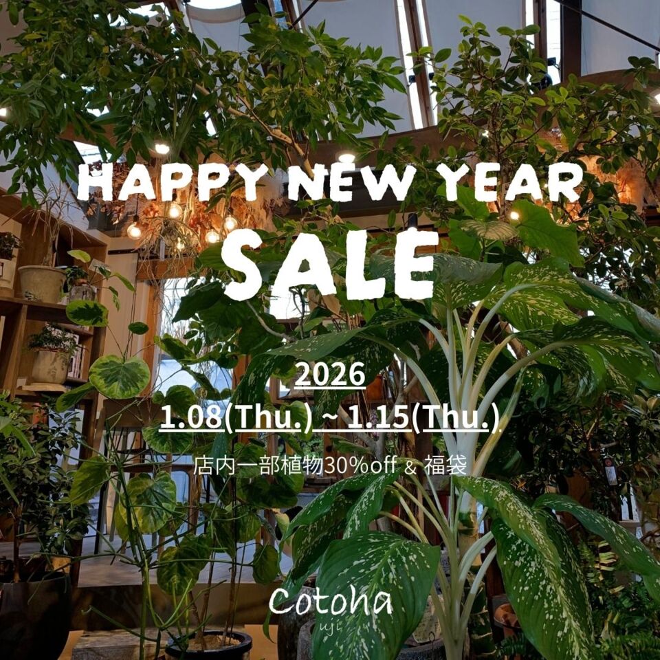 【cotoha uji】 『HAPPY NEW YEAR SALE』のお知らせ