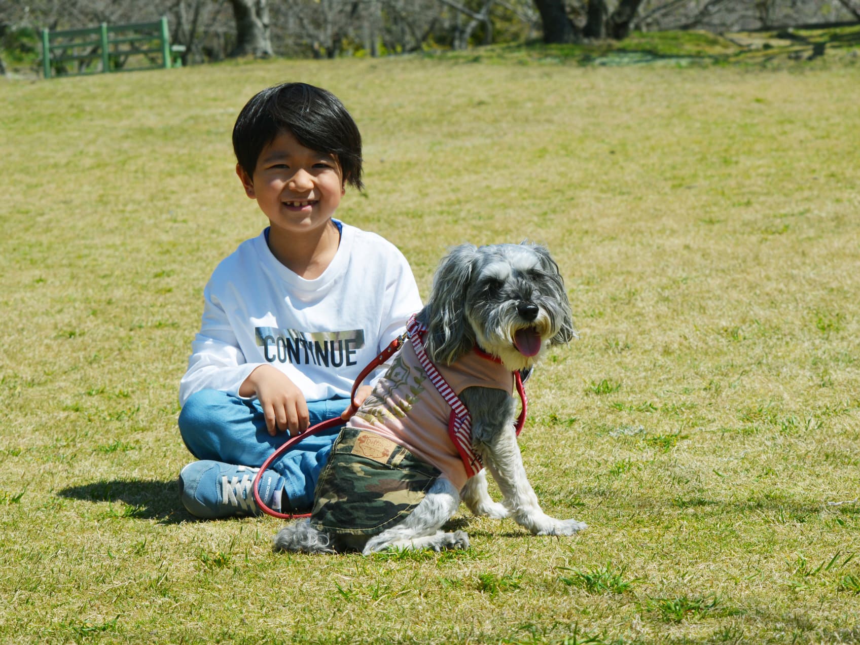 犬と子供