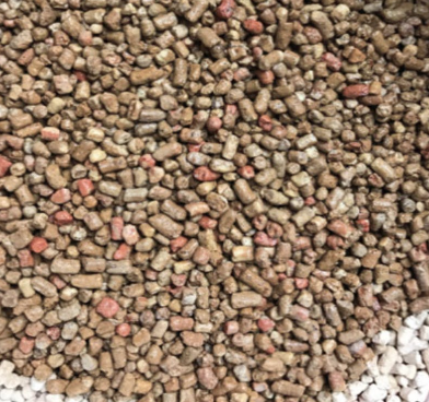 濡れているコトソイル