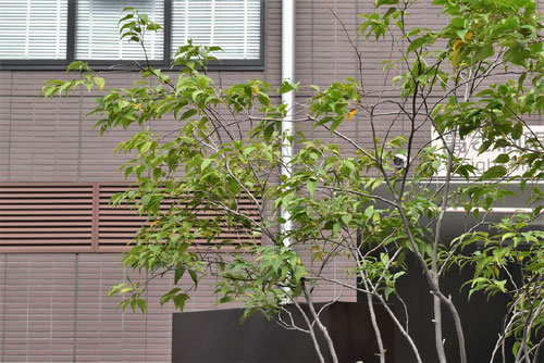 京都府宇治市、京都市、滋賀県のエクステリア・外構工事・お庭の