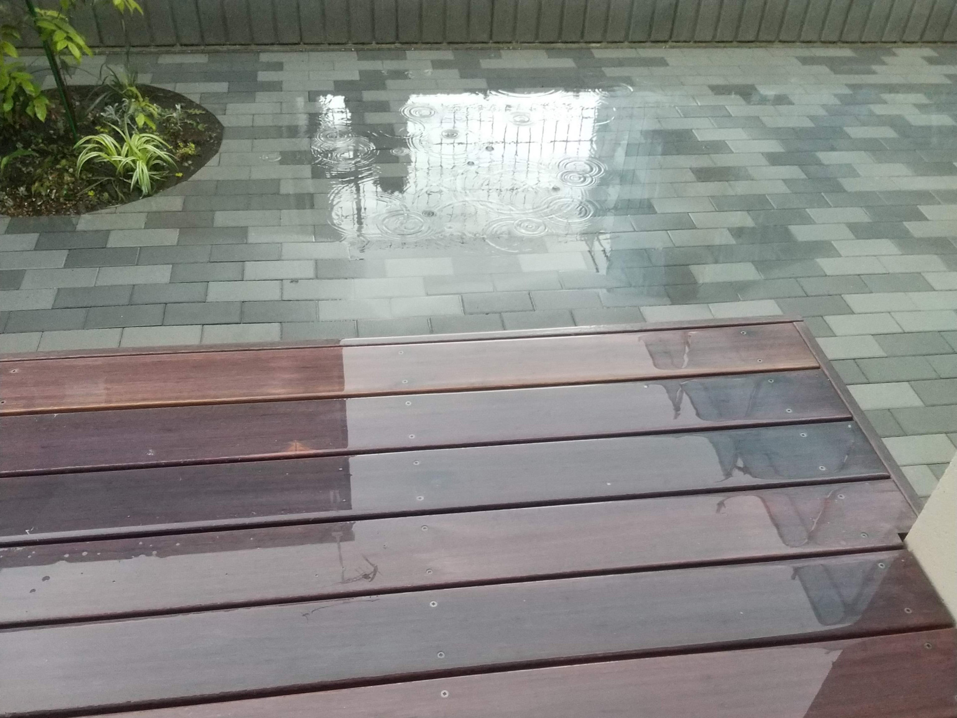 水はけの悪い庭