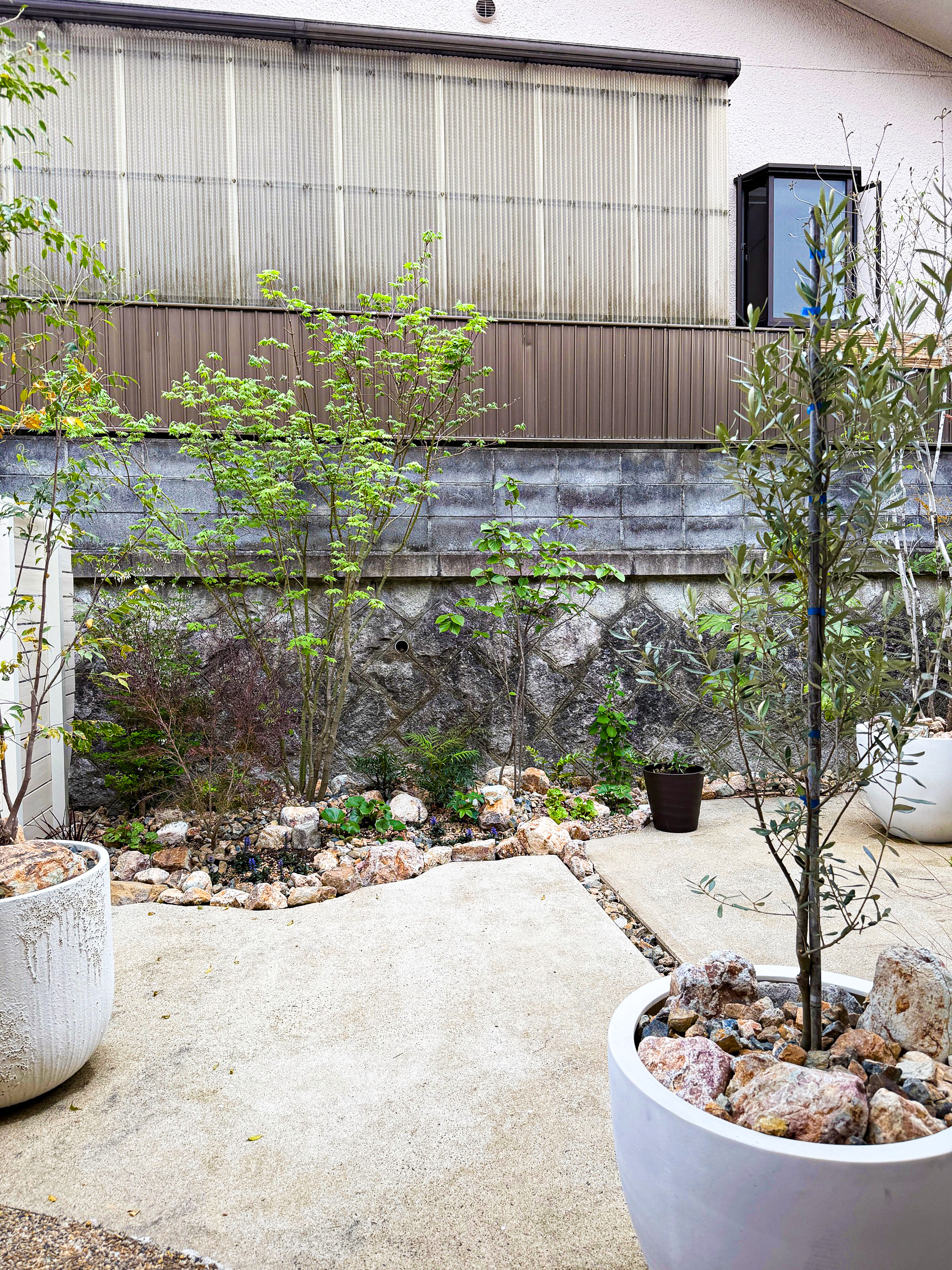 庭リフォーム】京都府宇治市/蔦が伸び下草がコンクリート地面を這うお