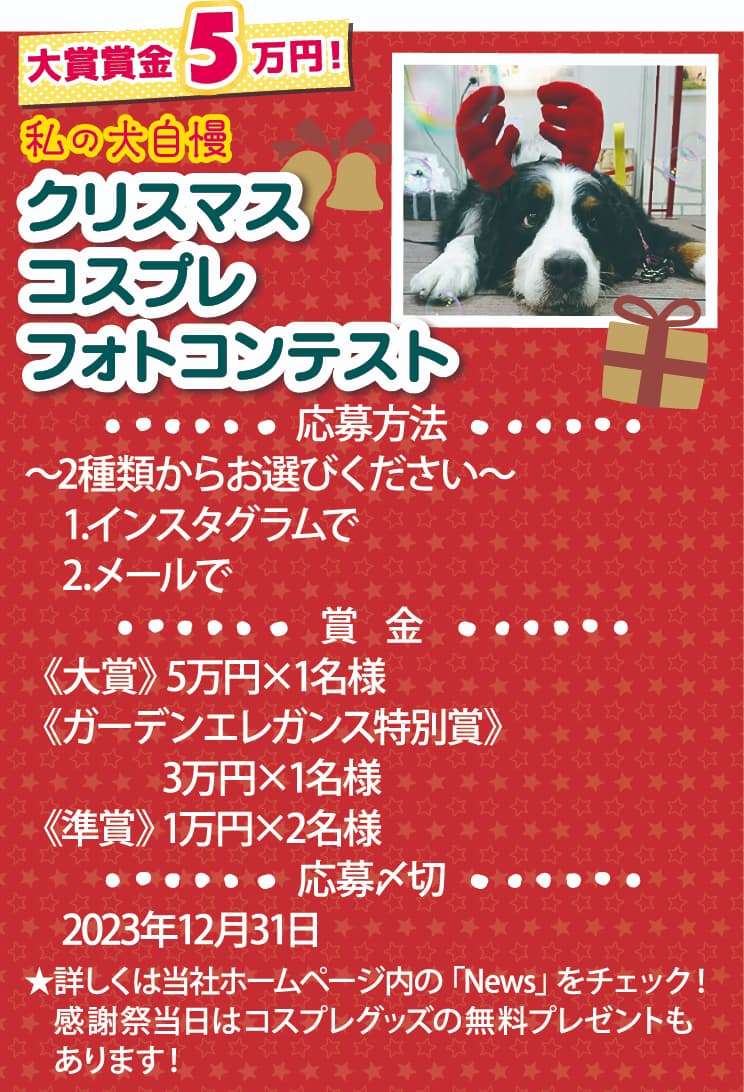 わんちゃんクリスマス