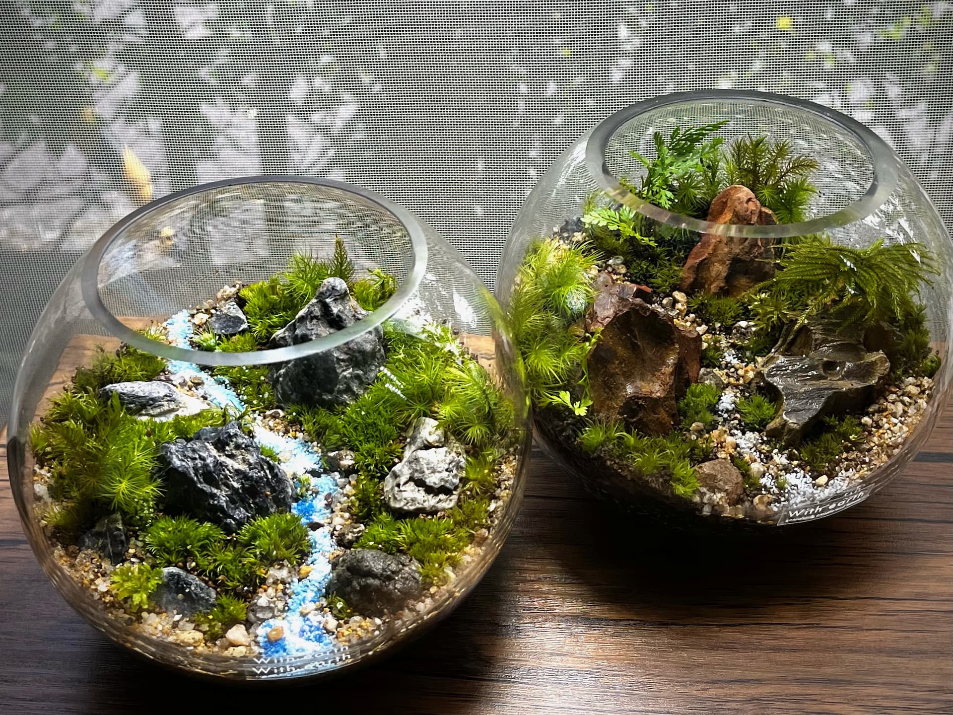 Cotoha uji】美しい…苔テラリウムワークショップ開催 京都府宇治
