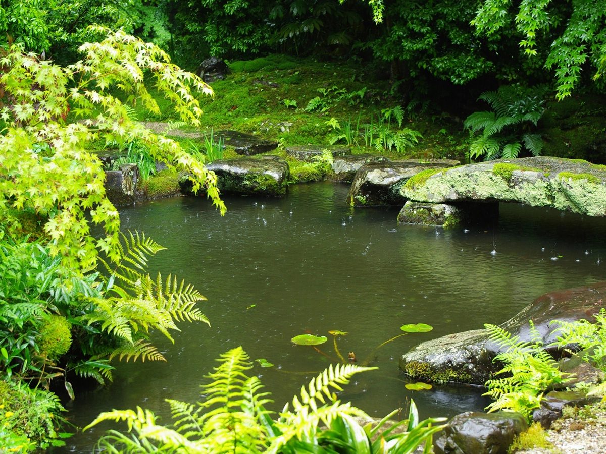 雨の瑠璃光院
