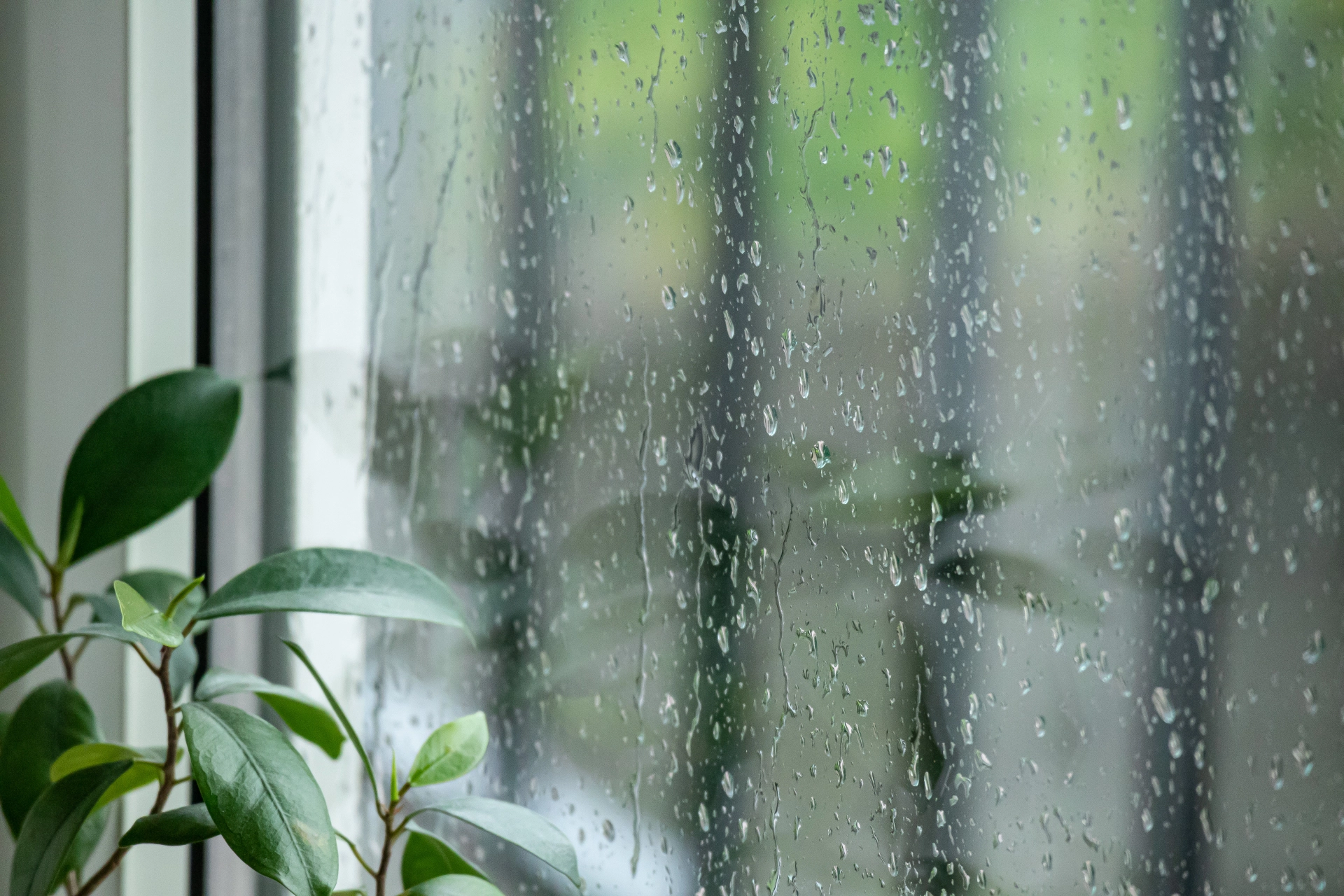 梅雨