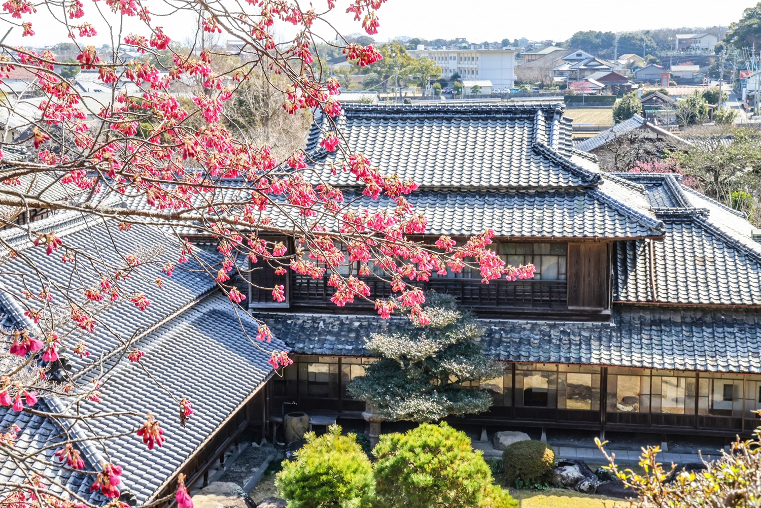 庭
