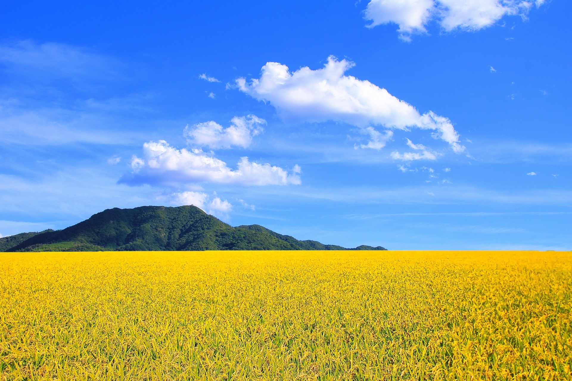 初秋の田舎風景