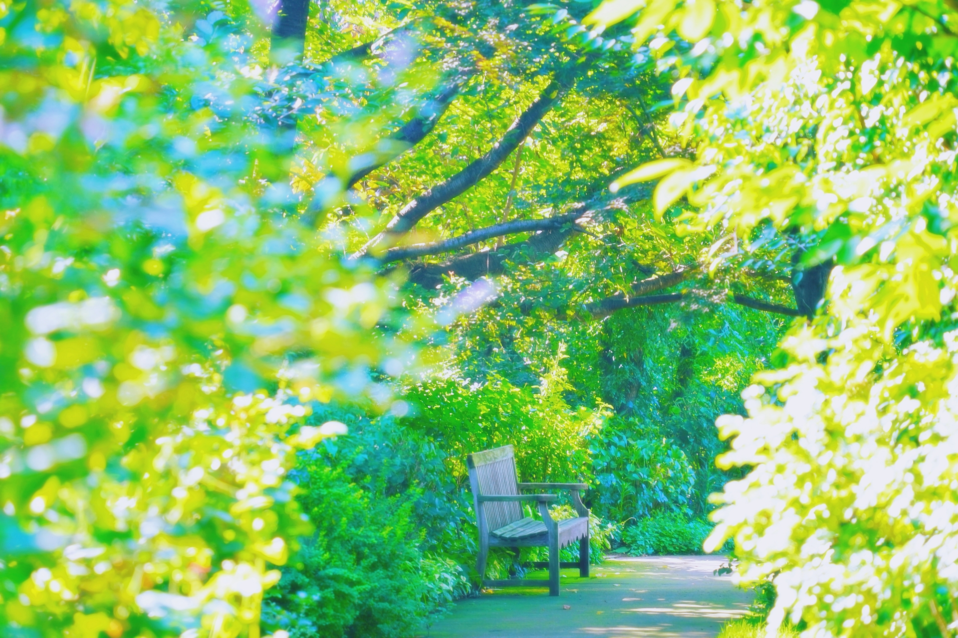 初秋の美しい自然とベンチ