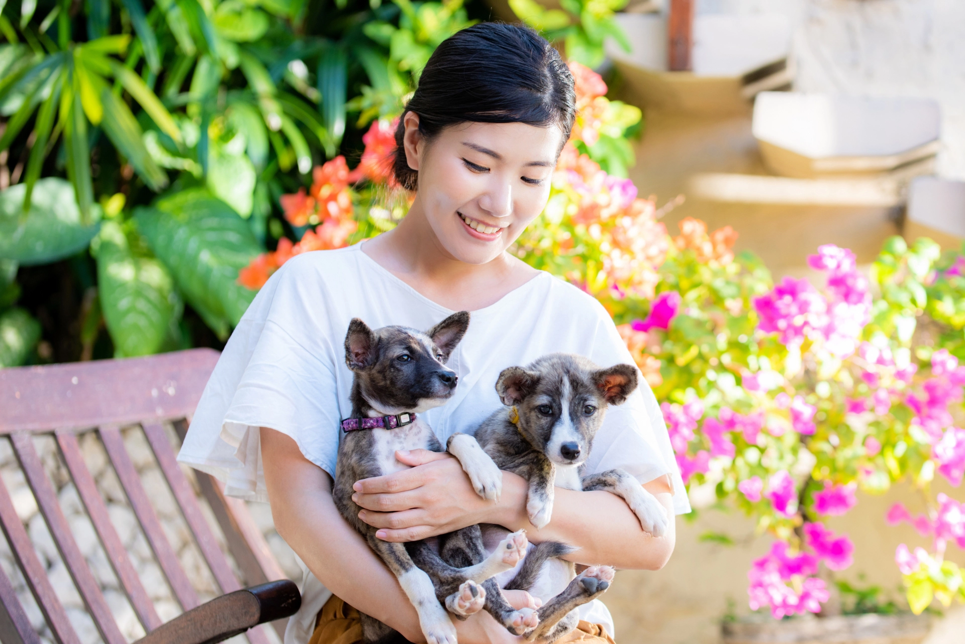 大切な犬のため放し飼いトラブルは避けよう