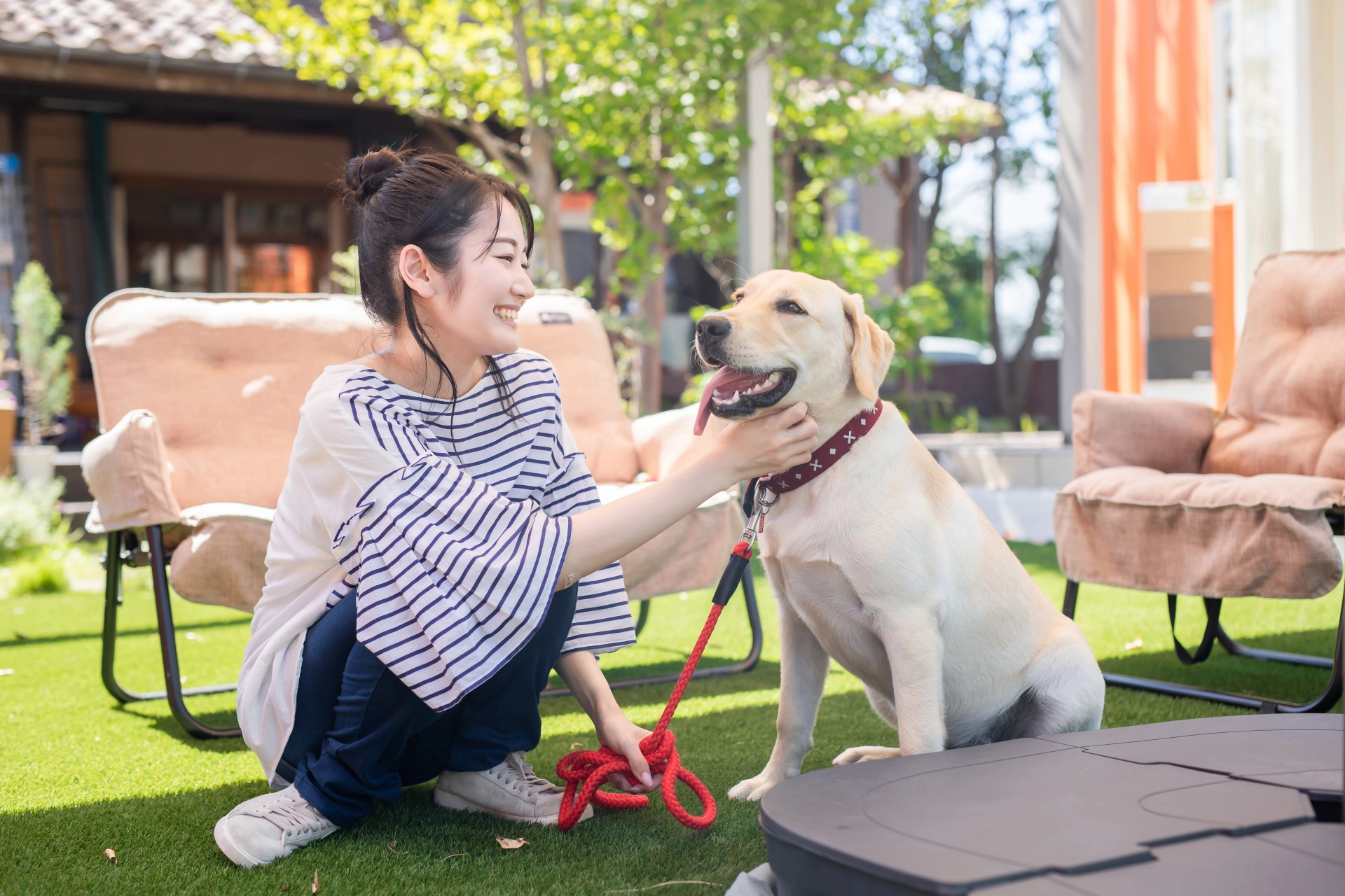犬との幸せなお庭ライフを♪