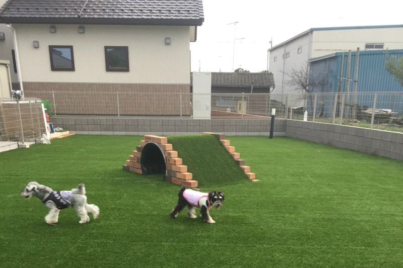 犬庭アトラクション