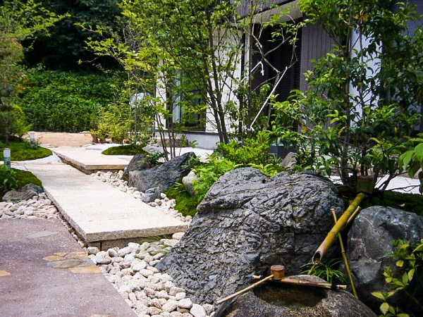 里山の木
