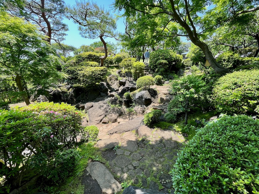 等々力渓谷雑木の庭