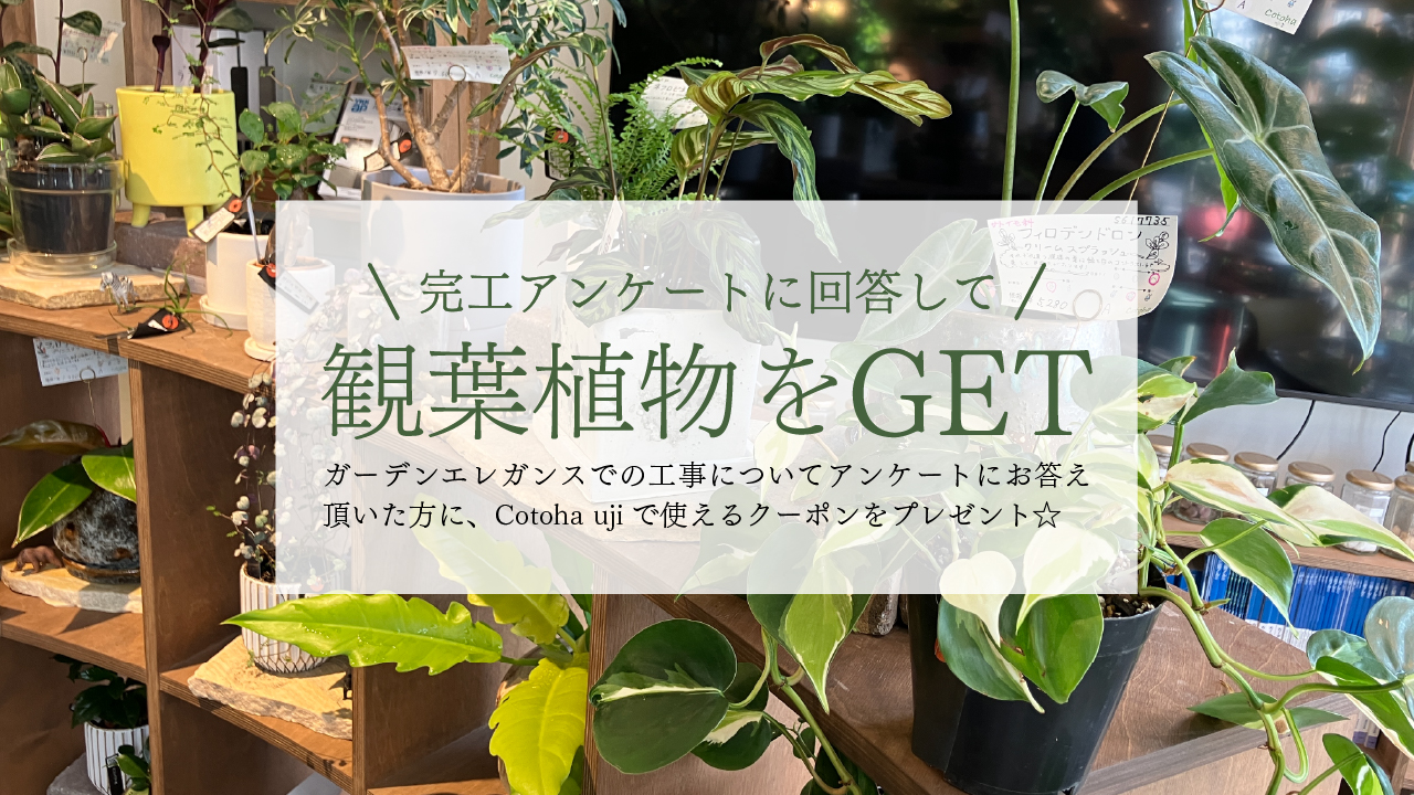 バナー